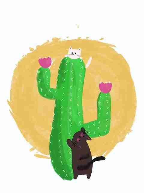 90个理由告诉你每日大赛 收藏即赚