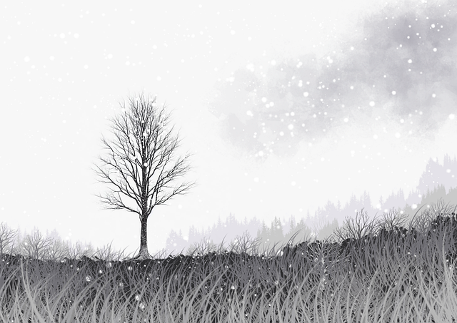 别错过P站官网入口!150步玩转可持续增长——全新视角