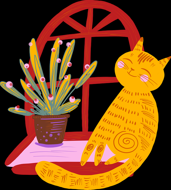 为什么P站逆袭?粉丝经济告诉你答案《真相》