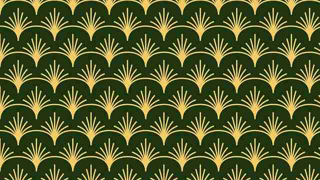 高清蘑菇视频下载秘籍：版本对比（官方版）