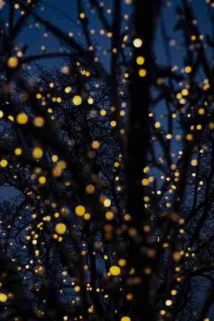 P站中文版人气法则全解析——19步搞定【收藏】