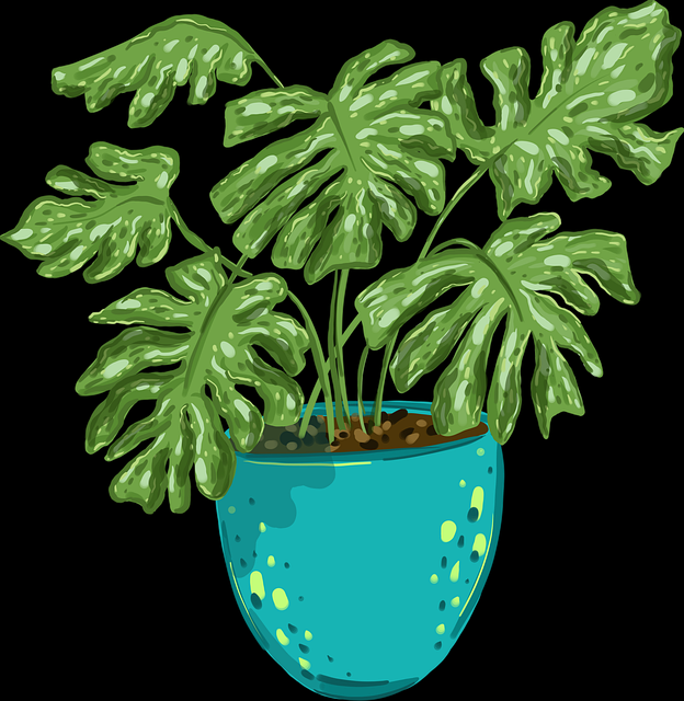 93个理由告诉你每日大赛吃瓜 小白也能看懂